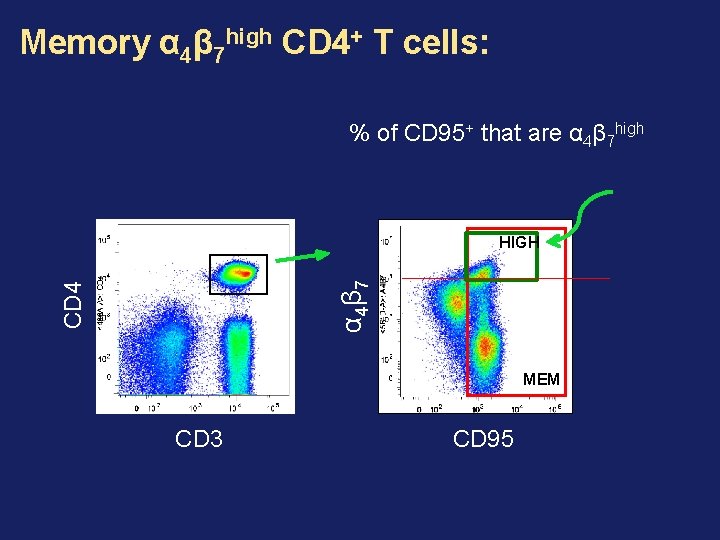 Memory α 4β 7 high CD 4+ T cells: % of CD 95+ that Memory α 4β 7 high CD 4+ T cells: % of CD 95+ that