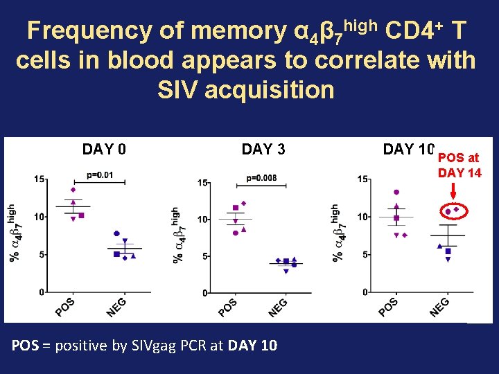 Frequency of memory α 4β 7 high CD 4+ T cells in blood appears Frequency of memory α 4β 7 high CD 4+ T cells in blood appears