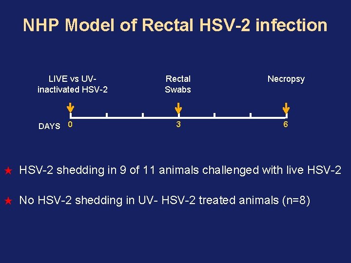 NHP Model of Rectal HSV-2 infection LIVE vs UVinactivated HSV-2 DAYS 0 Rectal Swabs NHP Model of Rectal HSV-2 infection LIVE vs UVinactivated HSV-2 DAYS 0 Rectal Swabs