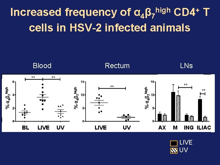 Increased frequency of α 4β 7 high CD 4+ T cells in HSV-2 infected Increased frequency of α 4β 7 high CD 4+ T cells in HSV-2 infected