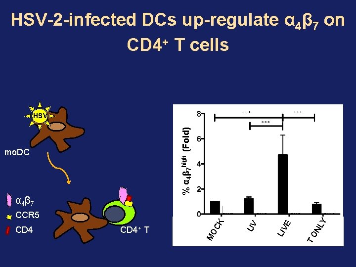 HSV-2 -infected DCs up-regulate α 4β 7 on CD 4+ T cells *** α HSV-2 -infected DCs up-regulate α 4β 7 on CD 4+ T cells *** α