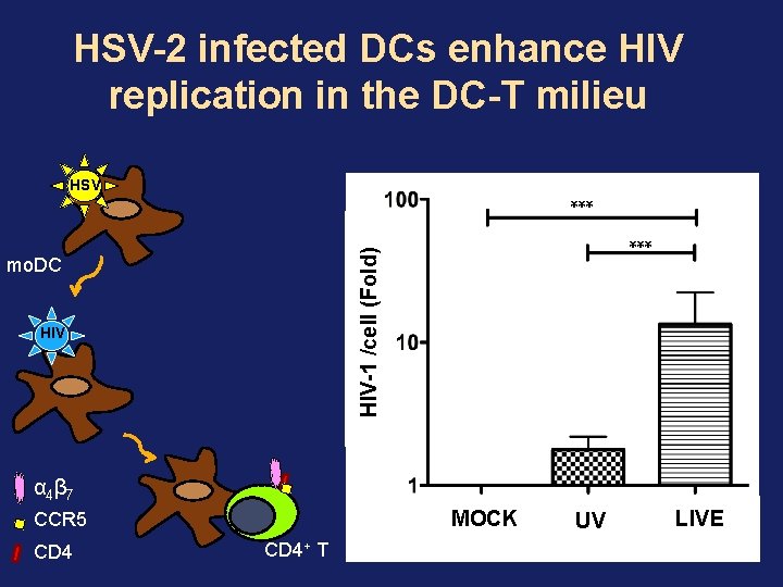 HSV-2 infected DCs enhance HIV replication in the DC-T milieu HSV *** HIV-1 /cell HSV-2 infected DCs enhance HIV replication in the DC-T milieu HSV *** HIV-1 /cell