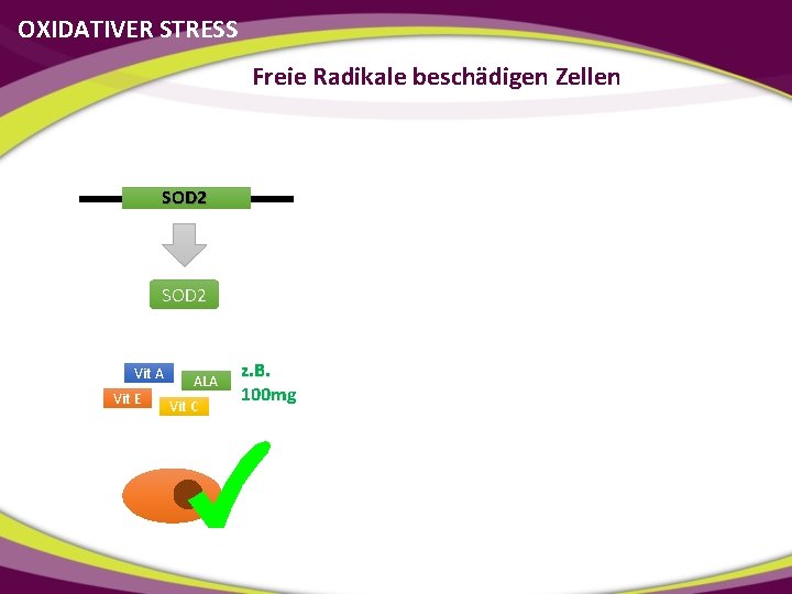 OXIDATIVER STRESS Freie Radikale beschädigen Zellen SOD 2 Vit A Vit E ALA Vit