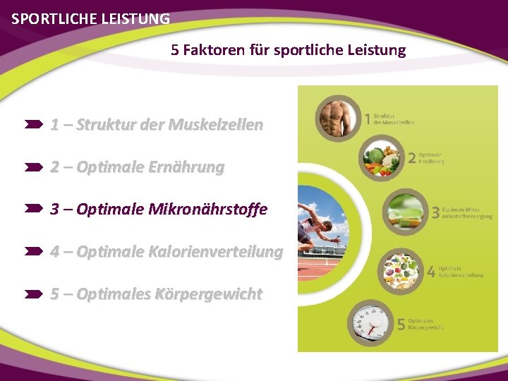 SPORTLICHE LEISTUNG 5 Faktoren für sportliche Leistung 1 – Struktur der Muskelzellen 2 –