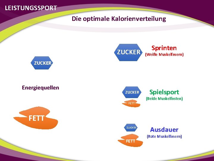 LEISTUNGSSPORT Die optimale Kalorienverteilung ZUCKER Sprinten (Weiße Muskelfasern) ZUCKER Energiequellen ZUCKER FETT Spielsport (Beide