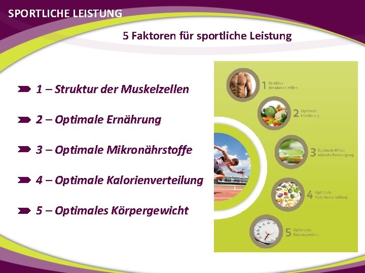 SPORTLICHE LEISTUNG 5 Faktoren für sportliche Leistung 1 – Struktur der Muskelzellen 2 –