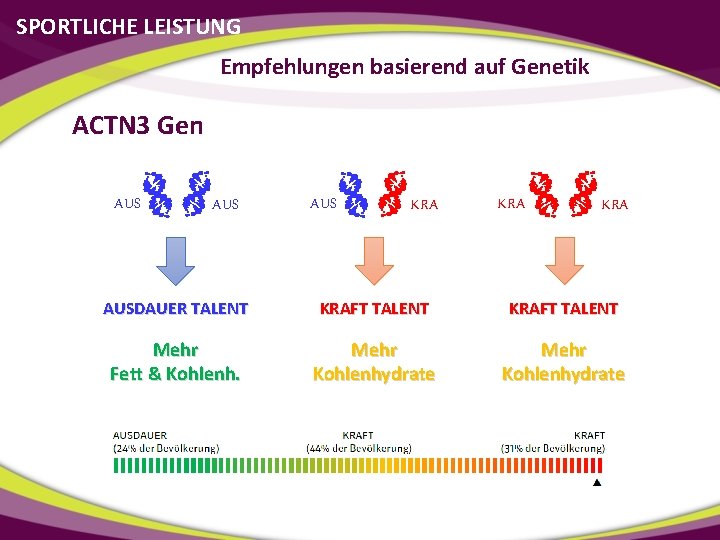 SPORTLICHE LEISTUNG Empfehlungen basierend auf Genetik ACTN 3 Gen AUS AUS KRA KRA AUSDAUER