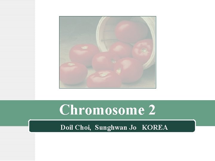 Chromosome 2 Doil Choi, Sunghwan Jo KOREA 