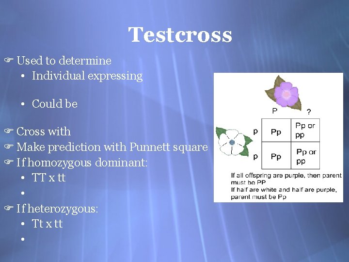 Testcross F Used to determine • Individual expressing • Could be F Cross with