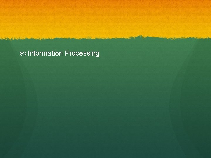  Information Processing 