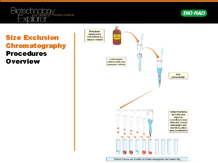 Size Exclusion Chromatography Procedures Overview 