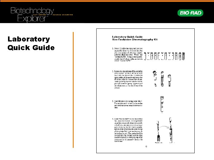 Laboratory Quick Guide 