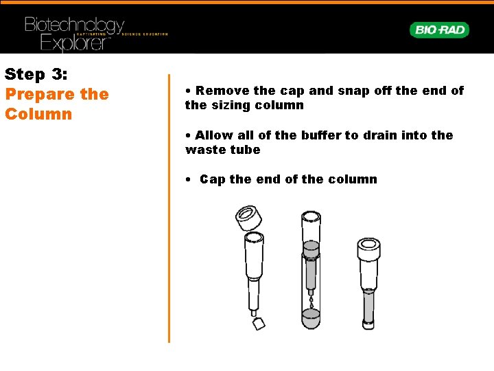 Step 3: Prepare the Column • Remove the cap and snap off the end