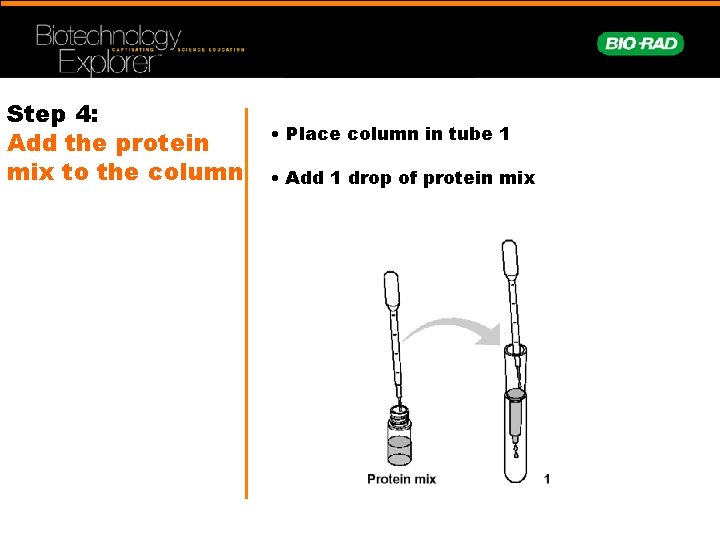 Step 4: Add the protein mix to the column • Place column in tube