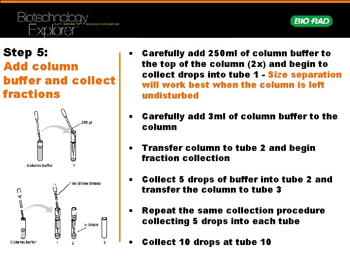 Step 5: Add column buffer and collect fractions • Carefully add 250 ml of