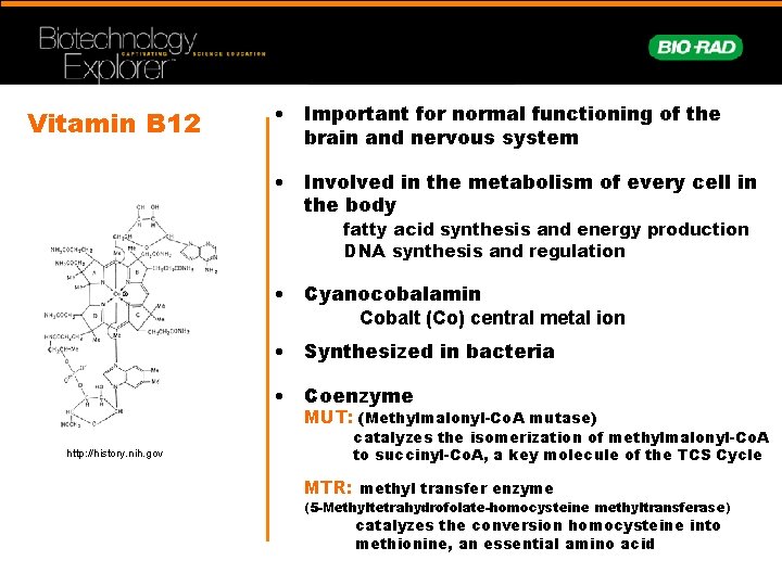Vitamin B 12 • Important for normal functioning of the brain and nervous system