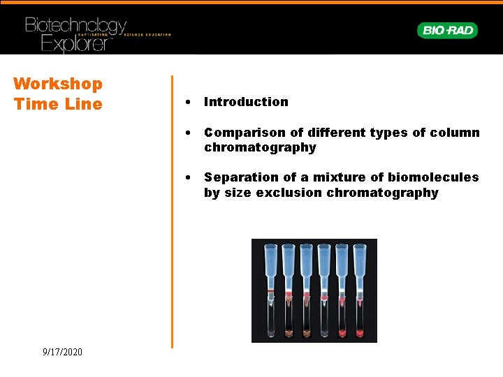 Workshop Time Line • Introduction • Comparison of different types of column chromatography •
