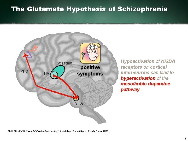 The Glutamate Hypothesis of Schizophrenia Striatum PFC NA positive symptoms Hypoactivation of NMDA receptors