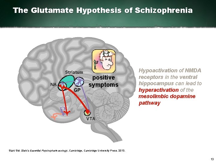 The Glutamate Hypothesis of Schizophrenia Striatum NA GP positive symptoms Hypoactivation of NMDA receptors