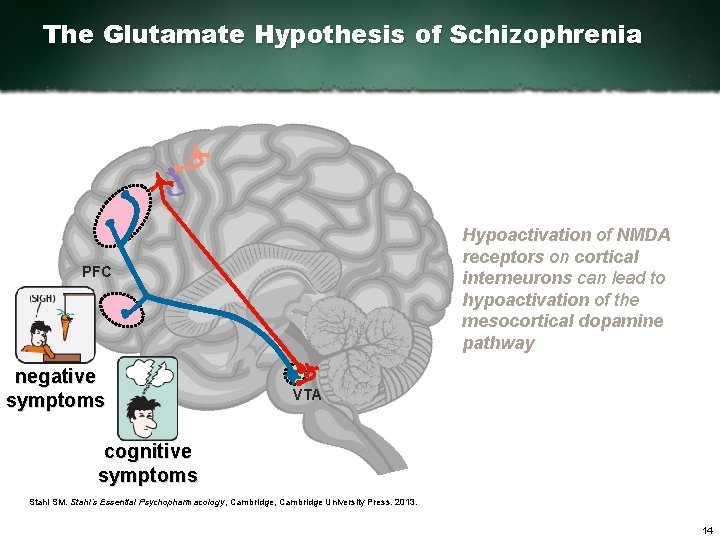 The Science of Schizophrenia Dr Stephen M Stahl