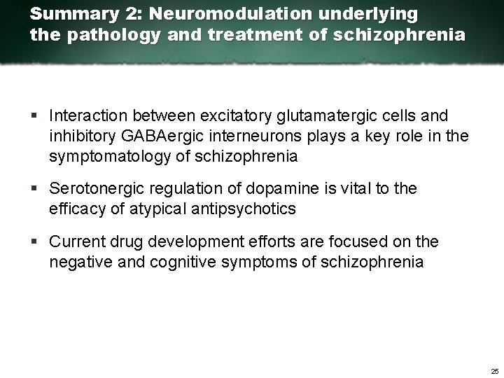 Summary 2: Neuromodulation underlying the pathology and treatment of schizophrenia § Interaction between excitatory