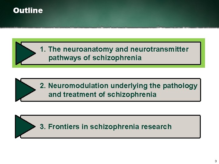 Outline 1. The neuroanatomy and neurotransmitter pathways of schizophrenia 2. Neuromodulation underlying the pathology