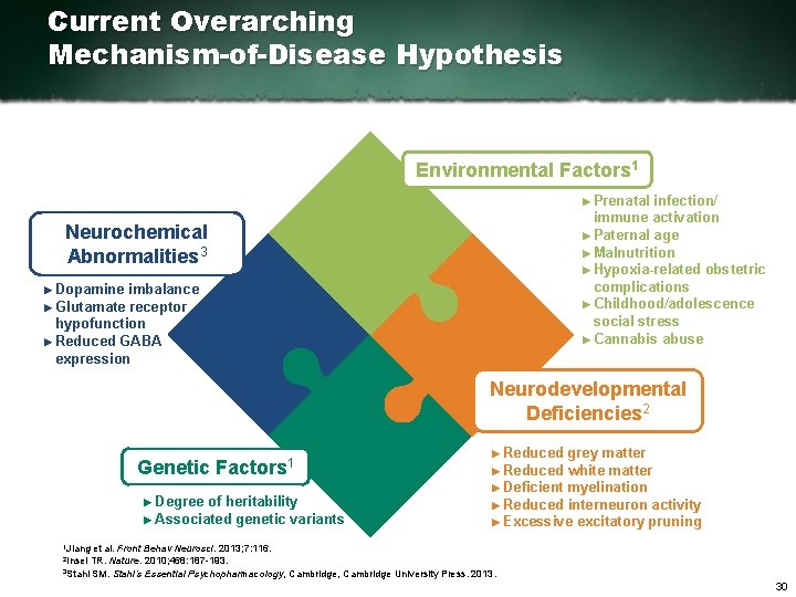 Current Overarching Mechanism-of-Disease Hypothesis Environmental Factors 1 ► Prenatal infection/ immune activation ► Paternal