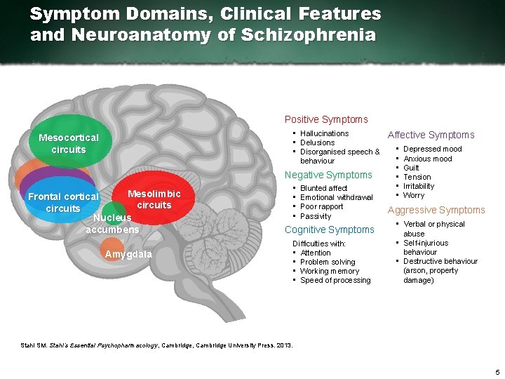Symptom Domains, Clinical Features and Neuroanatomy of Schizophrenia Positive Symptoms • Hallucinations • Delusions