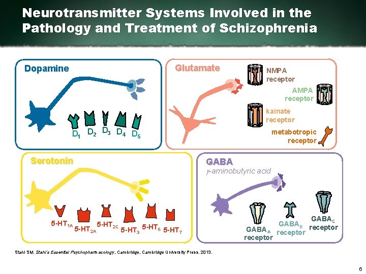 Neurotransmitter Systems Involved in the Pathology and Treatment of Schizophrenia Glutamate Dopamine NMPA receptor