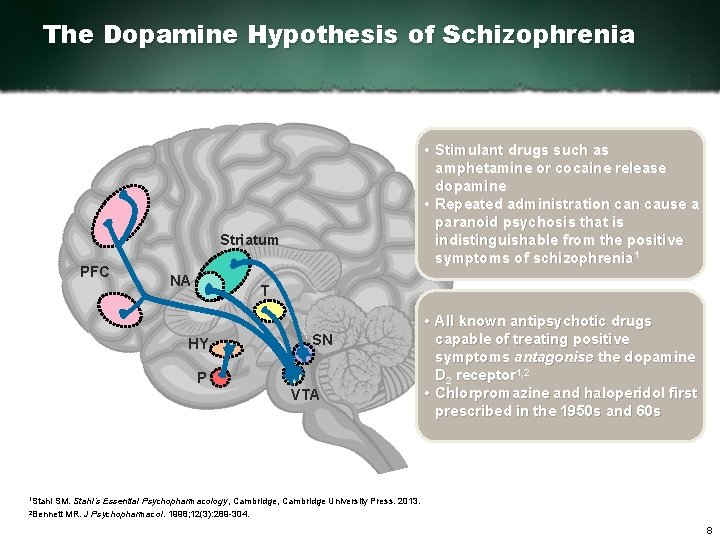 The Dopamine Hypothesis of Schizophrenia • Stimulant drugs such as amphetamine or cocaine release