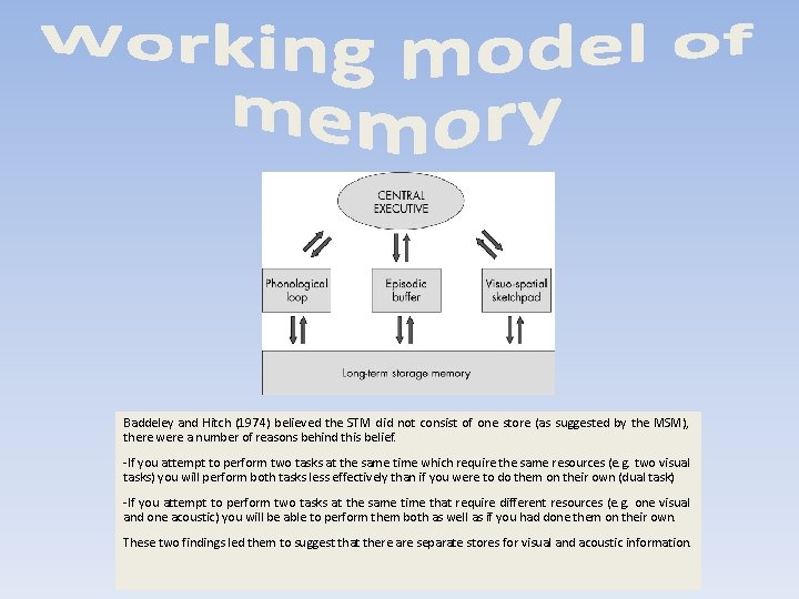 Baddeley and Hitch (1974) believed the STM did not consist of one store (as
