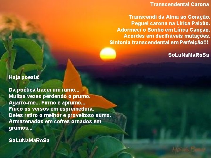 Transcendental Carona Transcendi da Alma ao Coração. Peguei carona na Lírica Paixão. Adormeci o