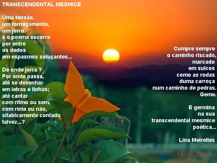 TRANSCENDENTAL MESMICE Uma tensão, um formigamento, um jorro e o poema escorre por entre