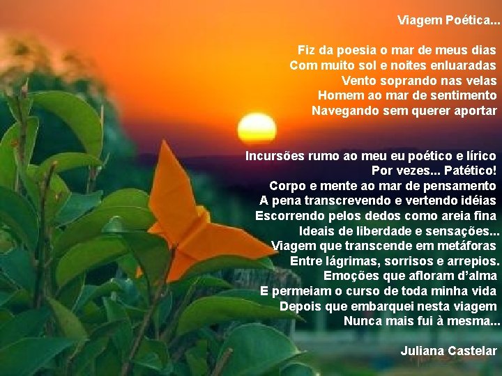 Viagem Poética. . . Fiz da poesia o mar de meus dias Com muito