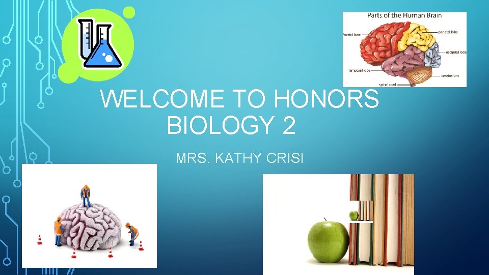WELCOME TO HONORS BIOLOGY 2 MRS. KATHY CRISI 