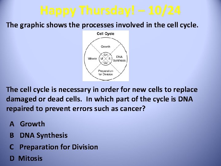 Happy Thursday! – 10/24 The graphic shows the processes involved in the cell cycle.