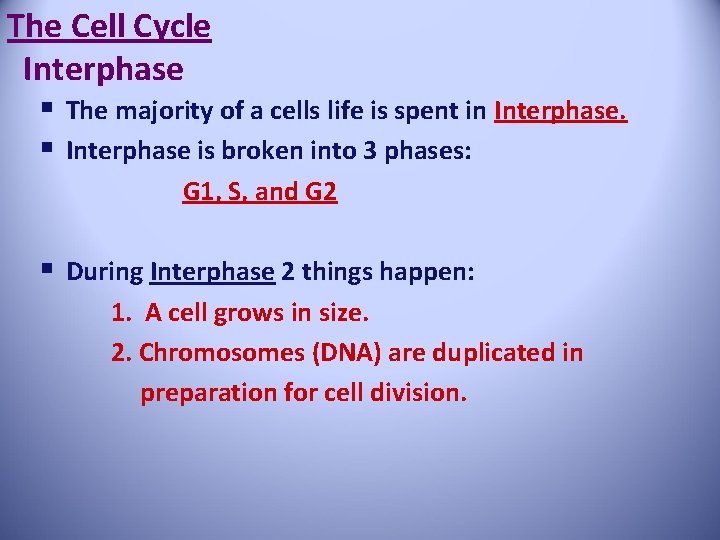 The Cell Cycle Interphase § The majority of a cells life is spent in