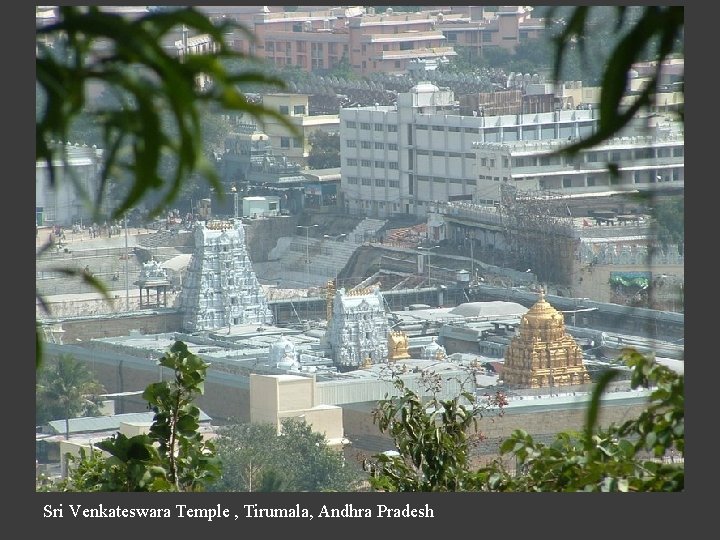 Sri Venkateswara Temple , Tirumala, Andhra Pradesh 