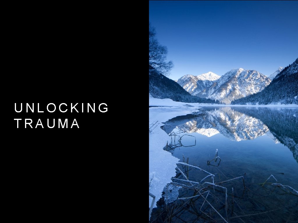 UNLOCKING TRAUMA 