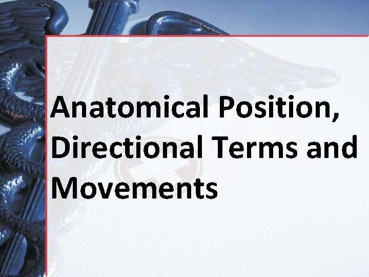 Anatomical Position, Directional Terms and Movements 
