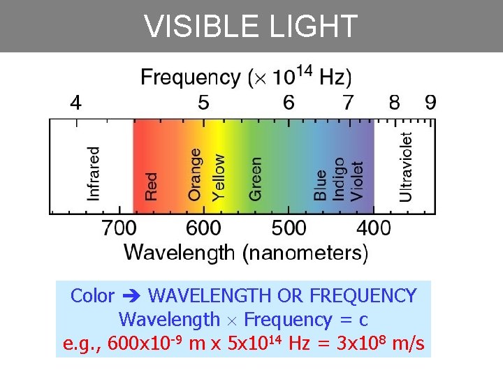 VISIBLE LIGHT Color WAVELENGTH OR FREQUENCY Wavelength Frequency = c e. g. , 600