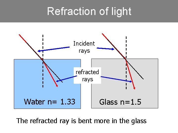 Refraction of light Incident rays refracted rays Water n= 1. 33 Glass n=1. 5