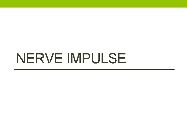 NERVE IMPULSE 