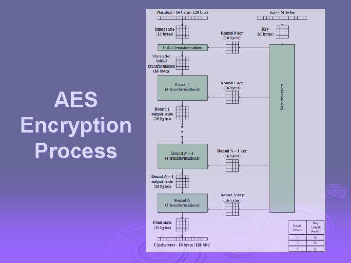 AES Encryption Process 