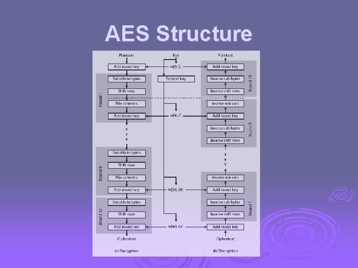 AES Structure 