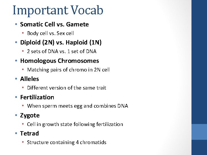 Important Vocab • Somatic Cell vs. Gamete • Body cell vs. Sex cell •