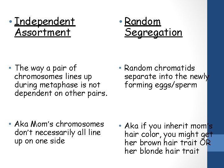  • Independent Assortment • Random Segregation • The way a pair of chromosomes