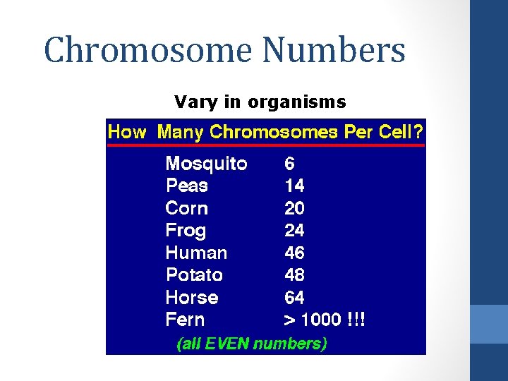 Chromosome Numbers Vary in organisms 