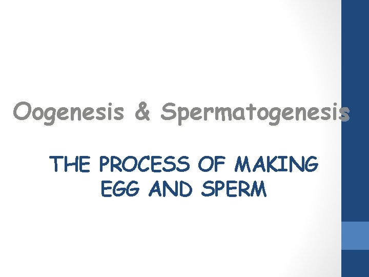 Oogenesis & Spermatogenesis THE PROCESS OF MAKING EGG AND SPERM 