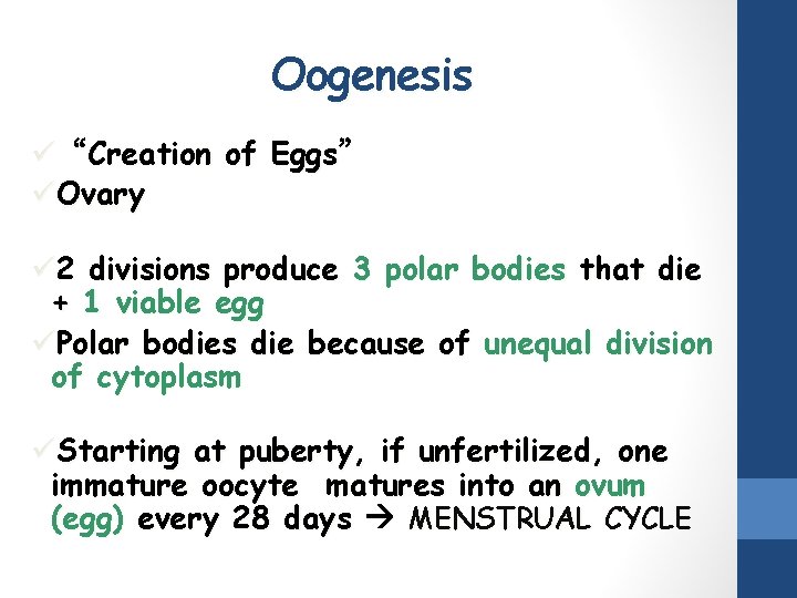 Oogenesis ü“Creation of Eggs” üOvary ü 2 divisions produce 3 polar bodies that die